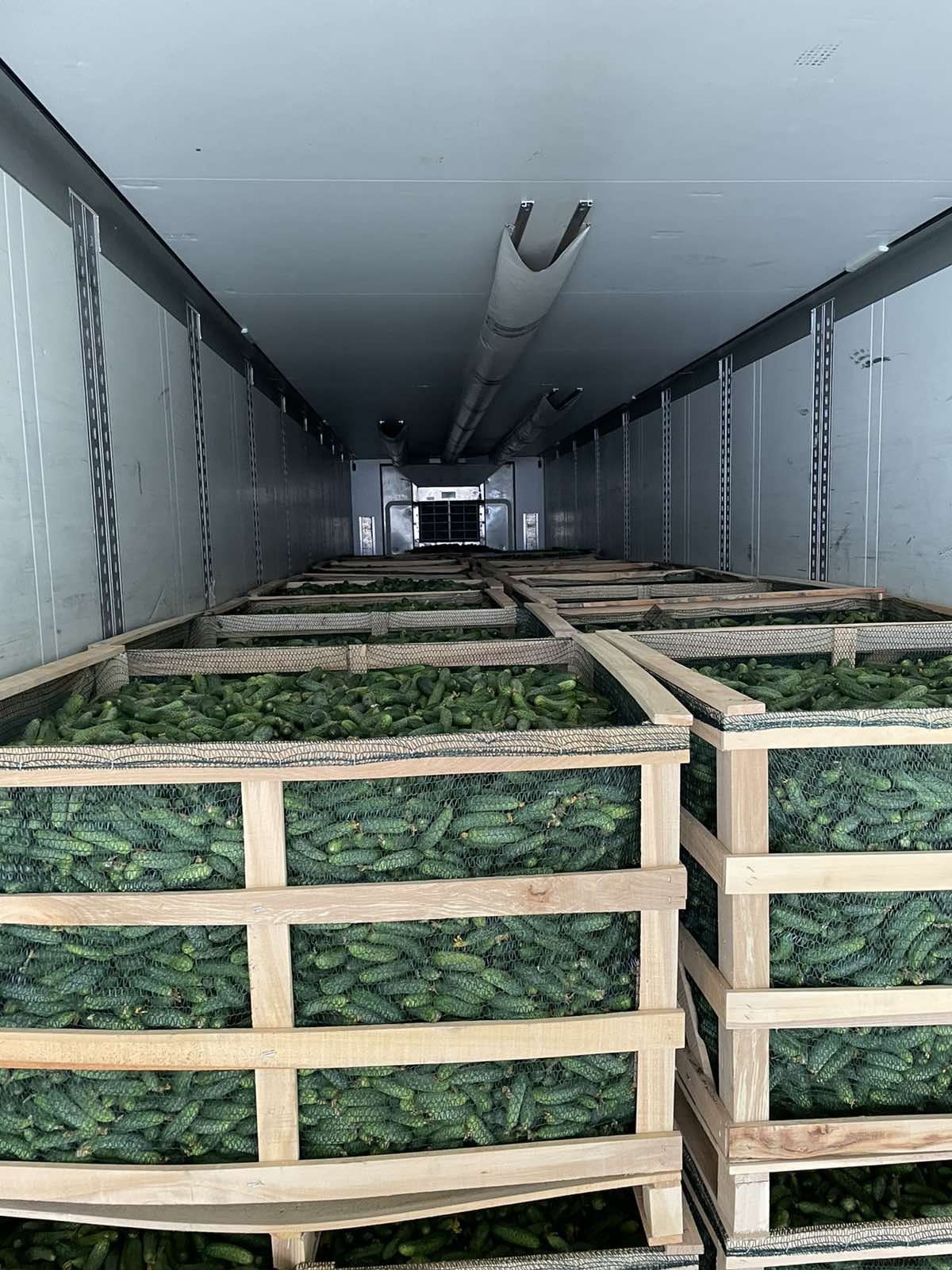 Свежо овошје